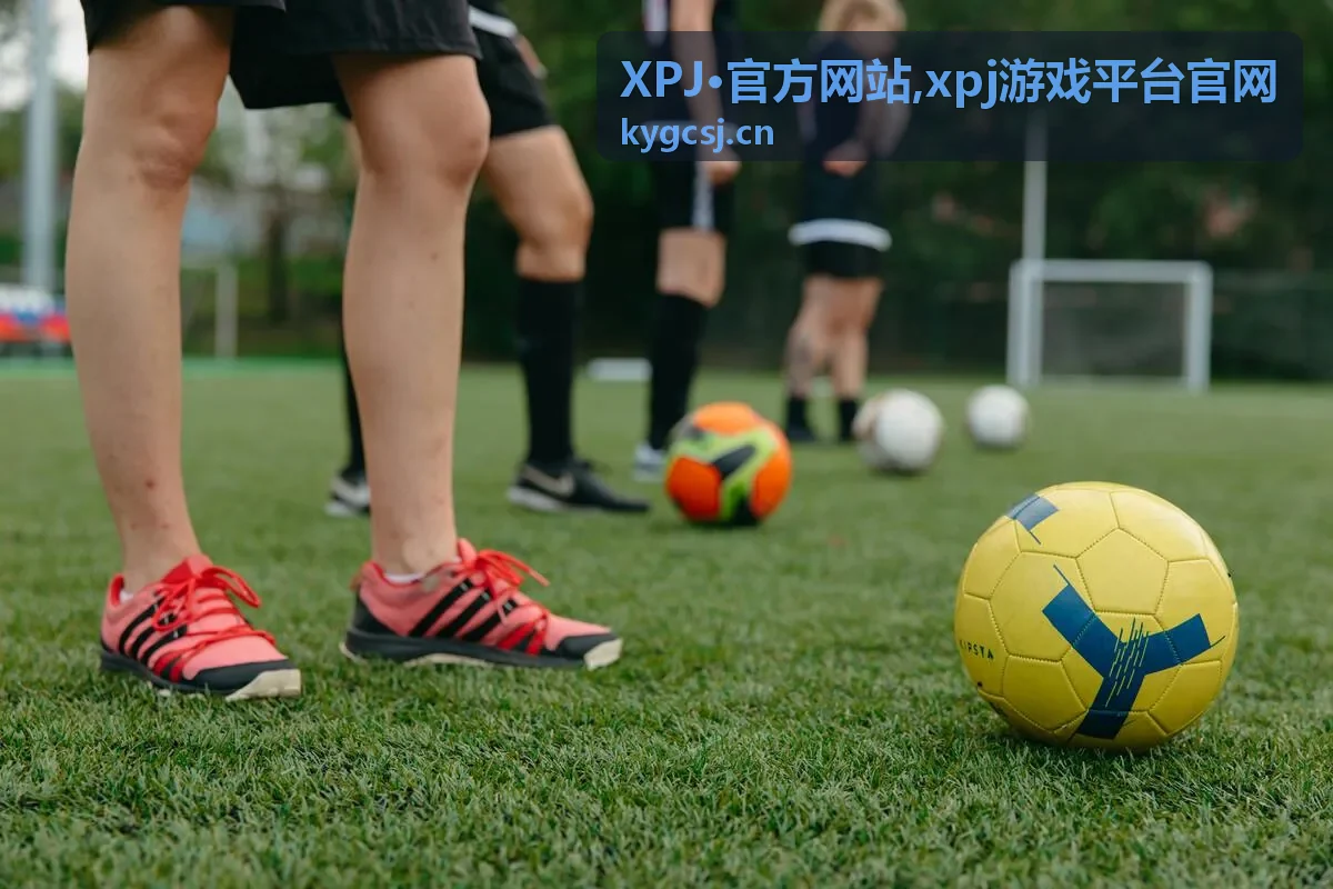XPJ官方网站官方入口展示图